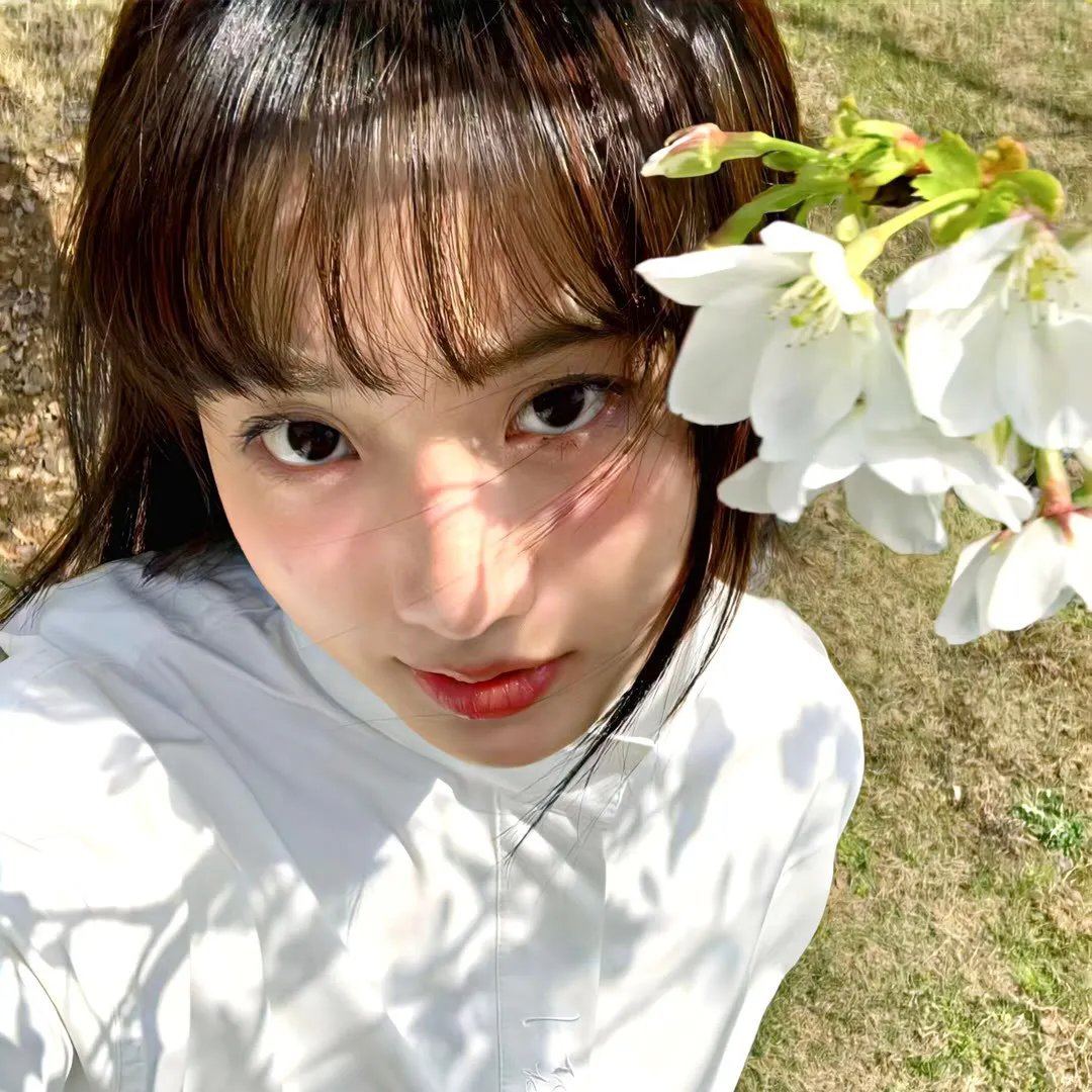 兰花香